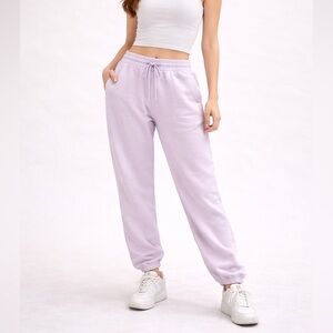 Aerie Purple Cozy Sweatpants with Elastic Waist